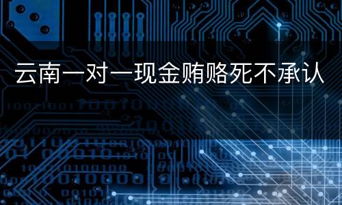 云南一对一现金贿赂死不承认