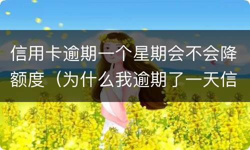 信用卡逾期一个星期会不会降额度（为什么我逾期了一天信用卡就降低了额度?）