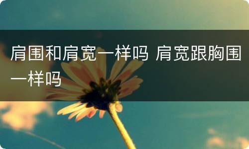肩围和肩宽一样吗 肩宽跟胸围一样吗