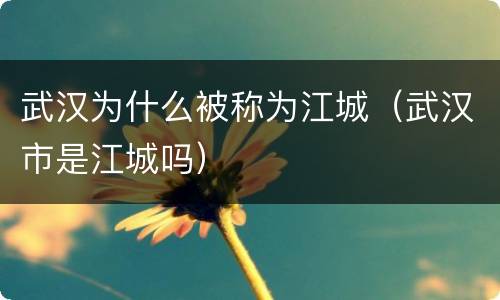 武汉为什么被称为江城（武汉市是江城吗）
