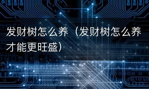 发财树怎么养（发财树怎么养才能更旺盛）