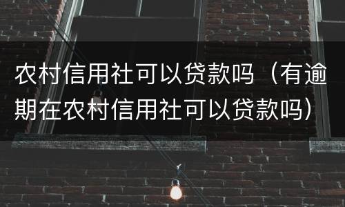 农村信用社可以贷款吗（有逾期在农村信用社可以贷款吗）