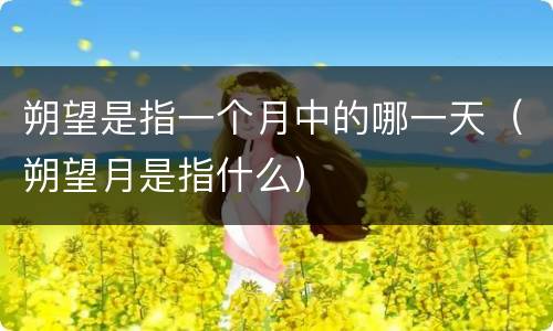 朔望是指一个月中的哪一天（朔望月是指什么）