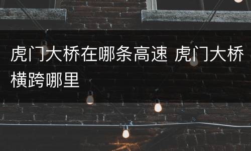 虎门大桥在哪条高速 虎门大桥横跨哪里