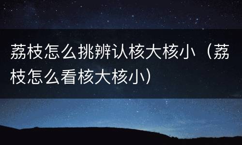 荔枝怎么挑辨认核大核小（荔枝怎么看核大核小）