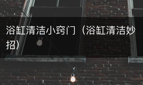 浴缸清洁小窍门（浴缸清洁妙招）