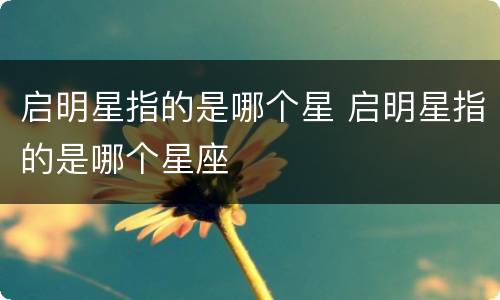 启明星指的是哪个星 启明星指的是哪个星座