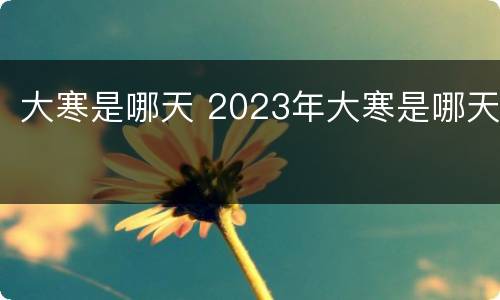 大寒是哪天 2023年大寒是哪天