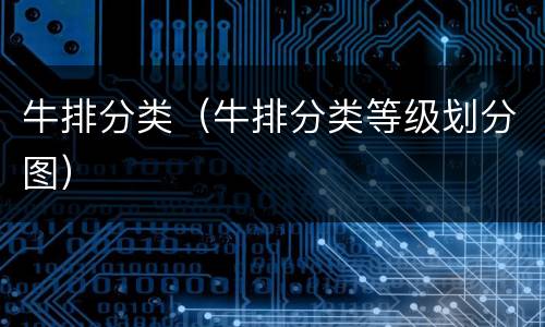牛排分类（牛排分类等级划分图）
