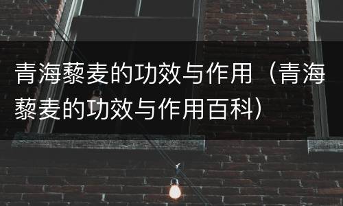 青海藜麦的功效与作用（青海藜麦的功效与作用百科）