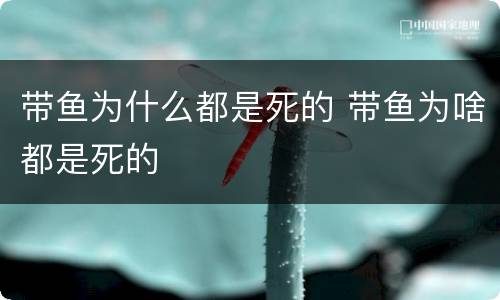 带鱼为什么都是死的 带鱼为啥都是死的