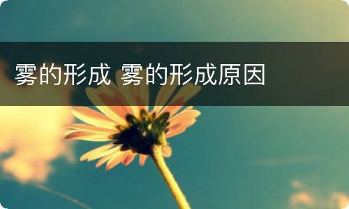 雾的形成 雾的形成原因