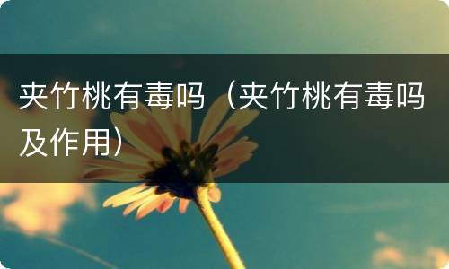 夹竹桃有毒吗（夹竹桃有毒吗及作用）