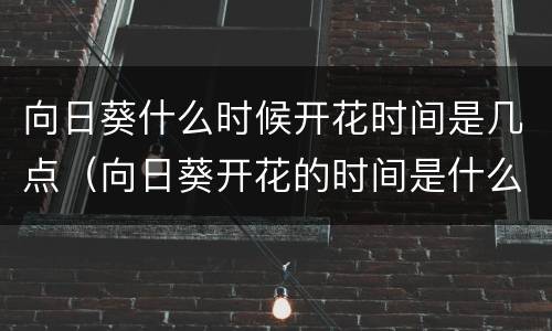 向日葵什么时候开花时间是几点（向日葵开花的时间是什么时候几点）