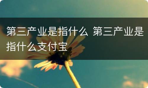 第三产业是指什么 第三产业是指什么支付宝