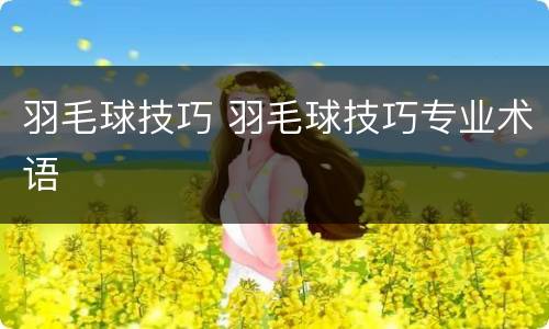 羽毛球技巧 羽毛球技巧专业术语