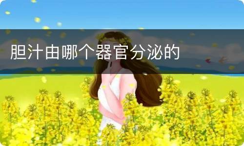 胆汁由哪个器官分泌的