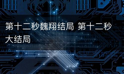 第十二秒魏翔结局 第十二秒 大结局