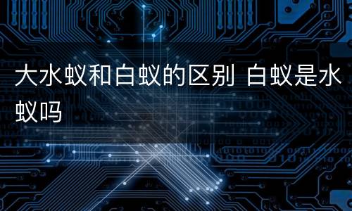 大水蚁和白蚁的区别 白蚁是水蚁吗