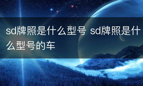 sd牌照是什么型号 sd牌照是什么型号的车