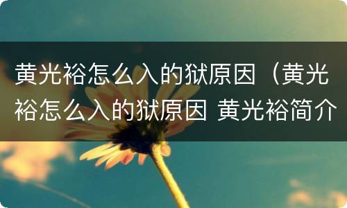 黄光裕怎么入的狱原因（黄光裕怎么入的狱原因 黄光裕简介）
