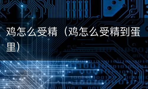 鸡怎么受精（鸡怎么受精到蛋里）