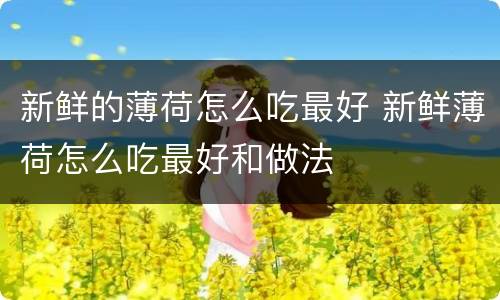 新鲜的薄荷怎么吃最好 新鲜薄荷怎么吃最好和做法