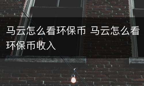 马云怎么看环保币 马云怎么看环保币收入