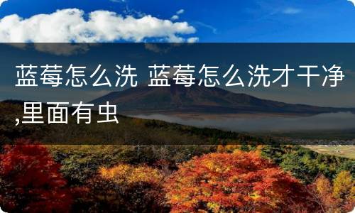 蓝莓怎么洗 蓝莓怎么洗才干净,里面有虫