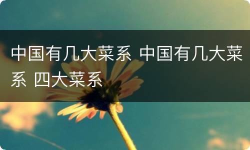 中国有几大菜系 中国有几大菜系 四大菜系