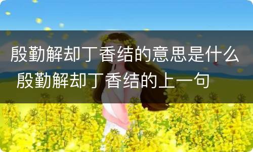 殷勤解却丁香结的意思是什么 殷勤解却丁香结的上一句