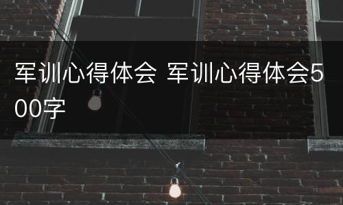 军训心得体会 军训心得体会500字
