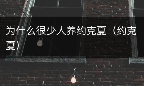 为什么很少人养约克夏（约克夏）