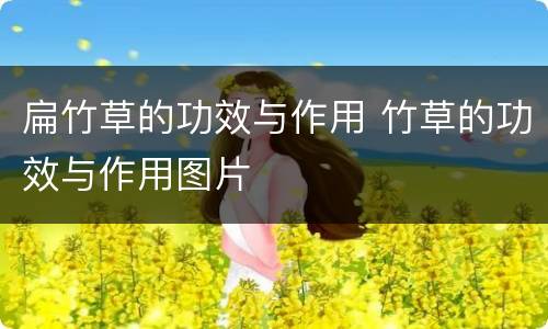 扁竹草的功效与作用 竹草的功效与作用图片