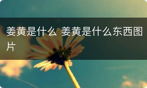 姜黄是什么 姜黄是什么东西图片