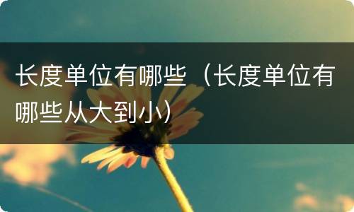 长度单位有哪些（长度单位有哪些从大到小）