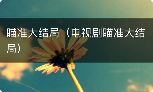 瞄准大结局（电视剧瞄准大结局）