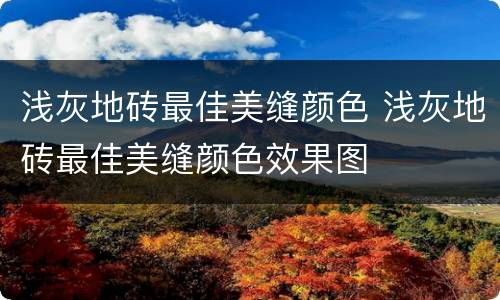 浅灰地砖最佳美缝颜色 浅灰地砖最佳美缝颜色效果图