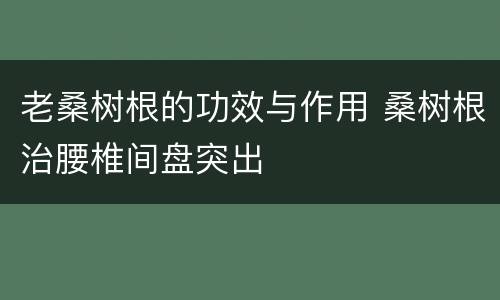老桑树根的功效与作用 桑树根治腰椎间盘突出