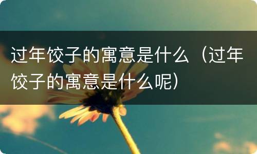 过年饺子的寓意是什么（过年饺子的寓意是什么呢）