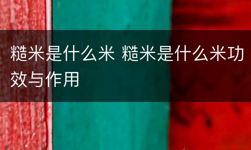 糙米是什么米 糙米是什么米功效与作用