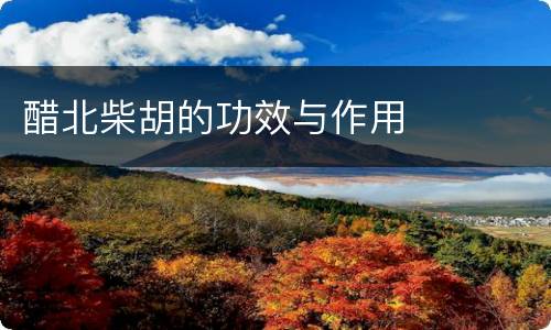 醋北柴胡的功效与作用