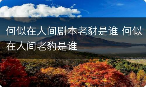 何似在人间剧本老豺是谁 何似在人间老豹是谁
