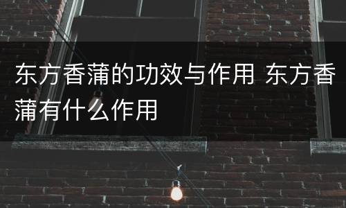 东方香蒲的功效与作用 东方香蒲有什么作用