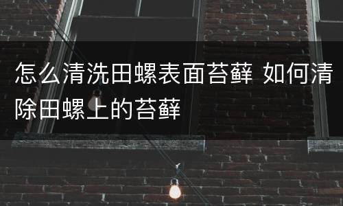 怎么清洗田螺表面苔藓 如何清除田螺上的苔藓