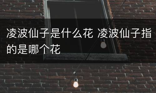 凌波仙子是什么花 凌波仙子指的是哪个花