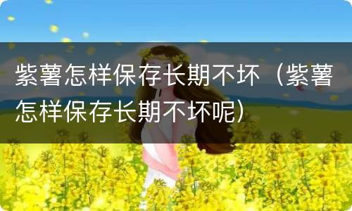 紫薯怎样保存长期不坏（紫薯怎样保存长期不坏呢）