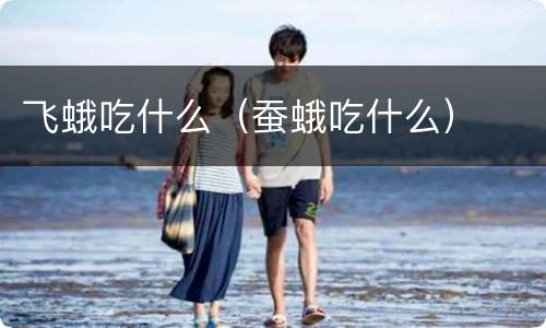 飞蛾吃什么（蚕蛾吃什么）