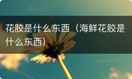 花胶是什么东西（海鲜花胶是什么东西）