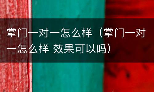 掌门一对一怎么样（掌门一对一怎么样 效果可以吗）
